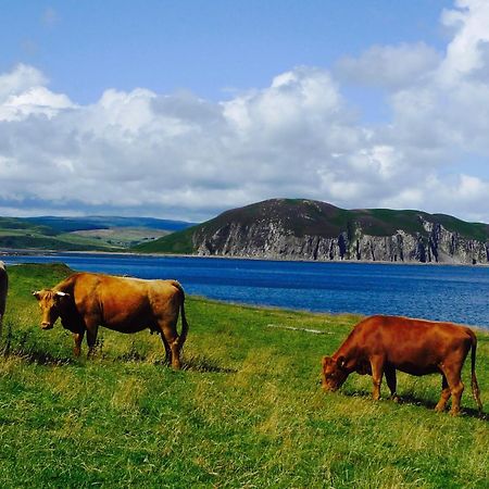 Rural Farmhouse On Kintyre, West Coast Hidden Gem Kildalloig Eksteriør billede