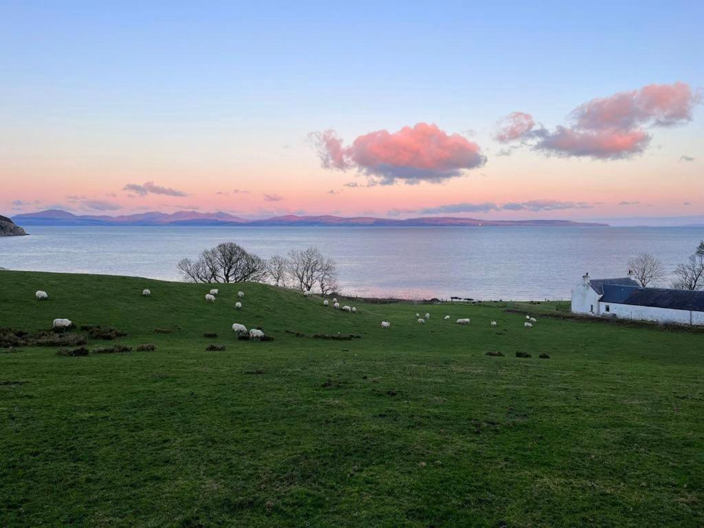 Rural Farmhouse On Kintyre, West Coast Hidden Gem Kildalloig Eksteriør billede
